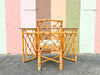 Chippendale Rattan Desk and Chair