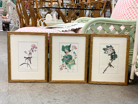 Set of Three Audubon Prints