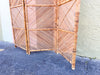 Arched Rattan Screen