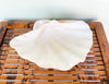 Petite Natural Clam Shell