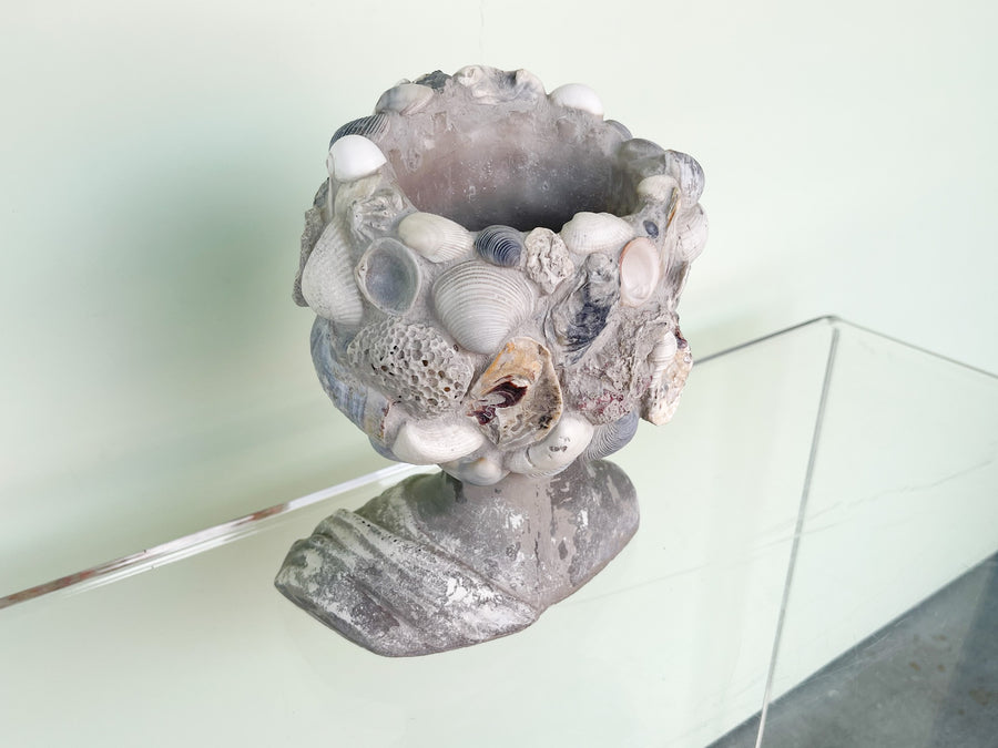 Shellegance Bust Cachepot