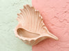 Blush Shell Wall Pocket