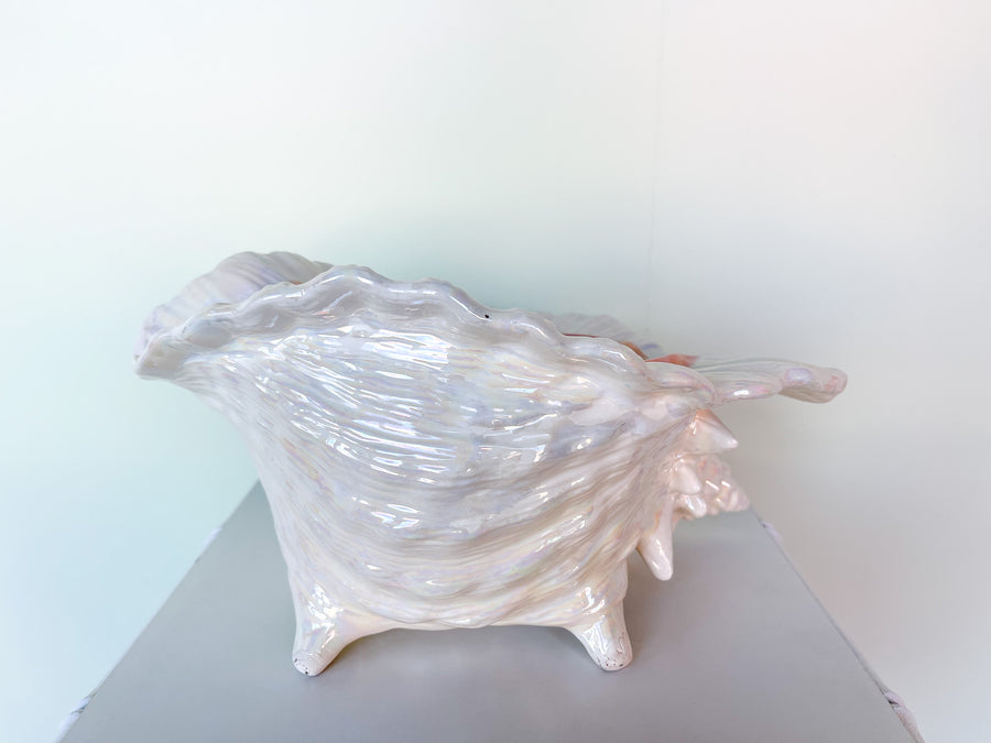 Opalescent Conch Shell Cachepot