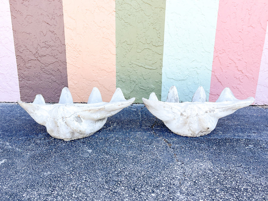 Pair of Concrete Clam Shells