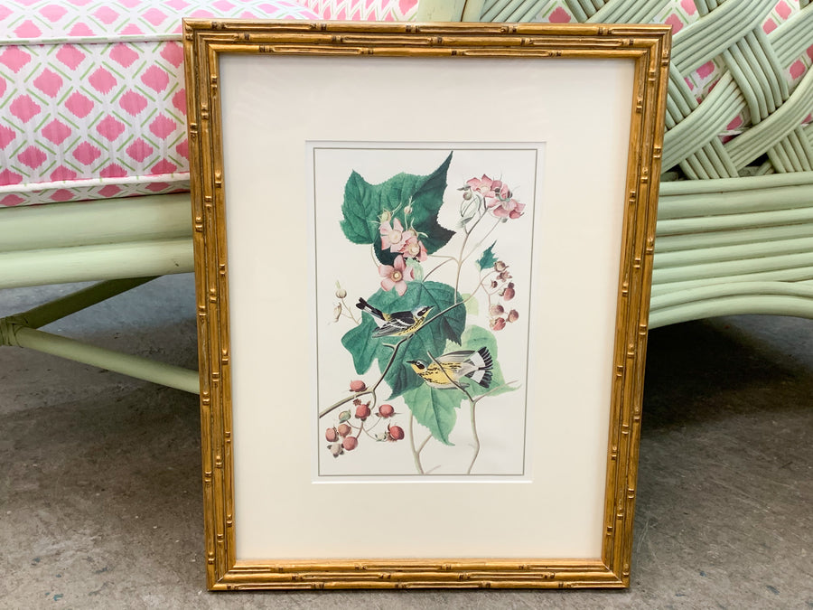 Set of Three Audubon Prints