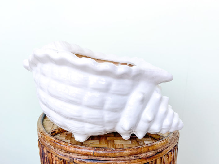 Conch Shell Cachepot