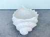 Large Ceramic Nautilus Cachepot