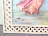 Lattice Conch Shell Original Painting