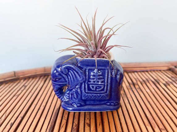 Tiny Blue Elephant Planter