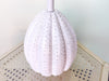 Sea Urchin Shell Lamp