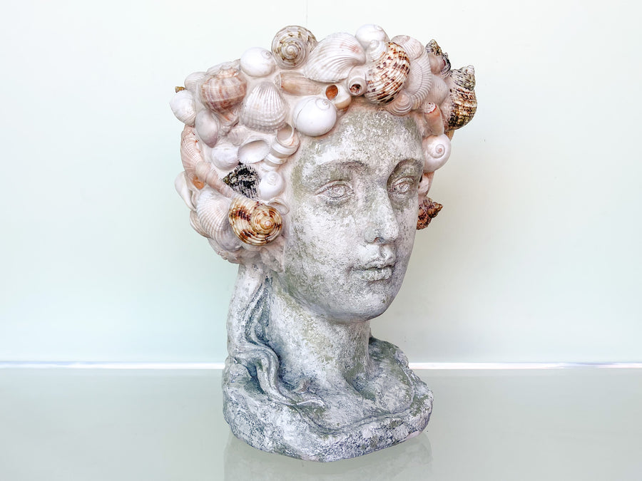 Shellegance Bust Cachepot