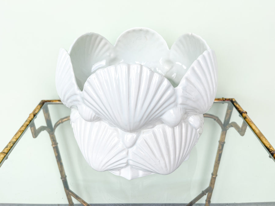 Clam Shell Cachepot