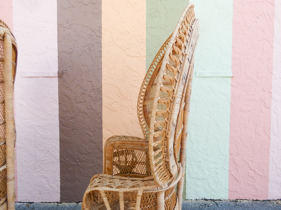 Pair of Fab Natural Peacock Chairs