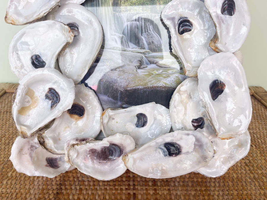 Oyster Shell Frame
