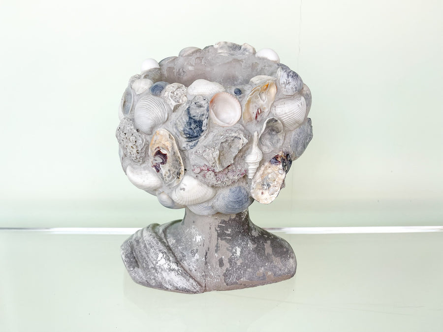 Shellegance Bust Cachepot