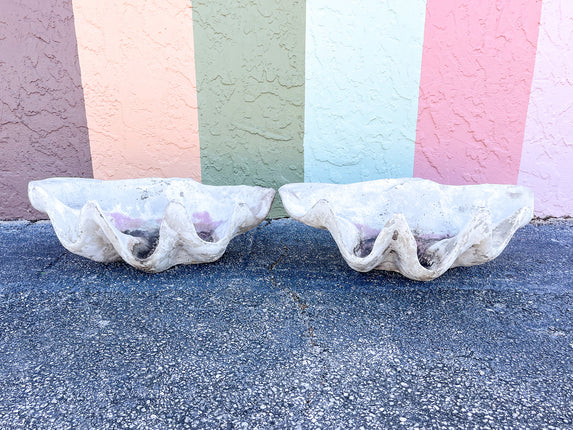 Pair of Concrete Clam Shells