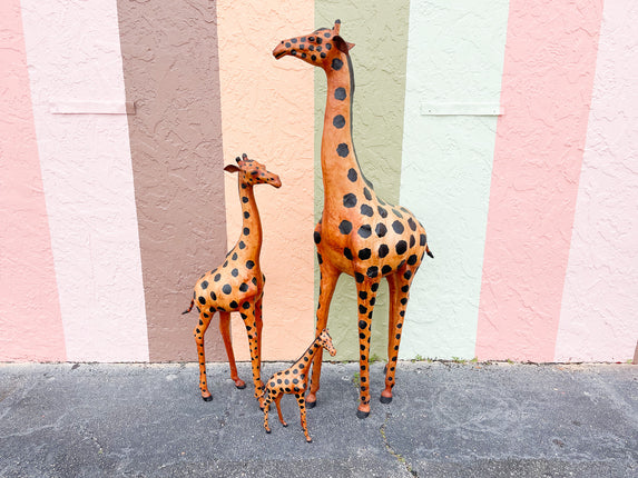 Sweet Family of Three Giraffes