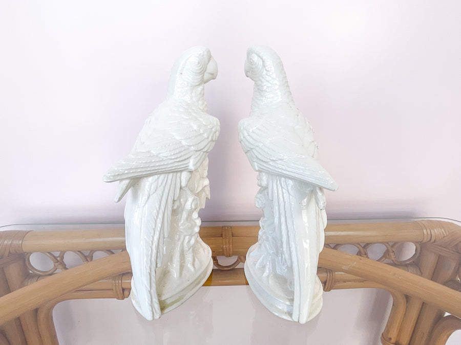 Pair of Sweet Parrots