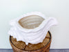 Conch Shell Cachepot