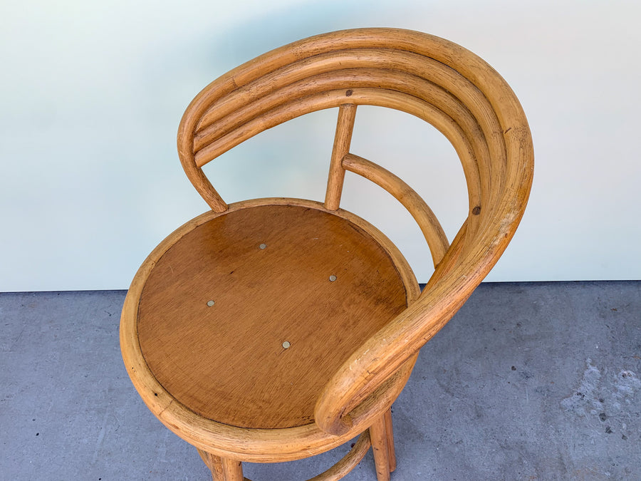 Pair of Cute Coastal Bar Stools