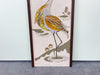 Mid Century Regency Style Gravel Bird Art