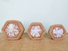 Set of Three Petite Shell Baskets