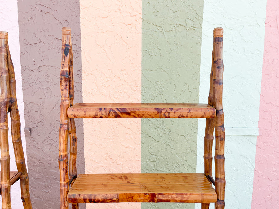 Pair of Tortoiseshell Etageres