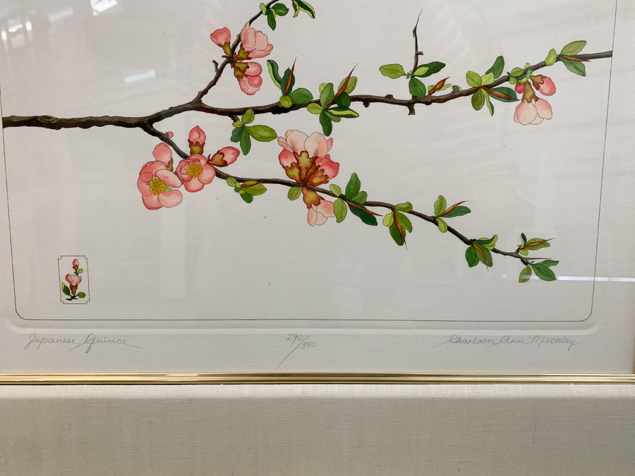 Set of Four Floral Prints by Charolette Ann Meckley