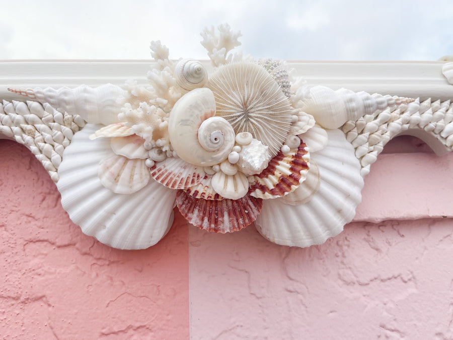 Unique Scallop Shell Mirror