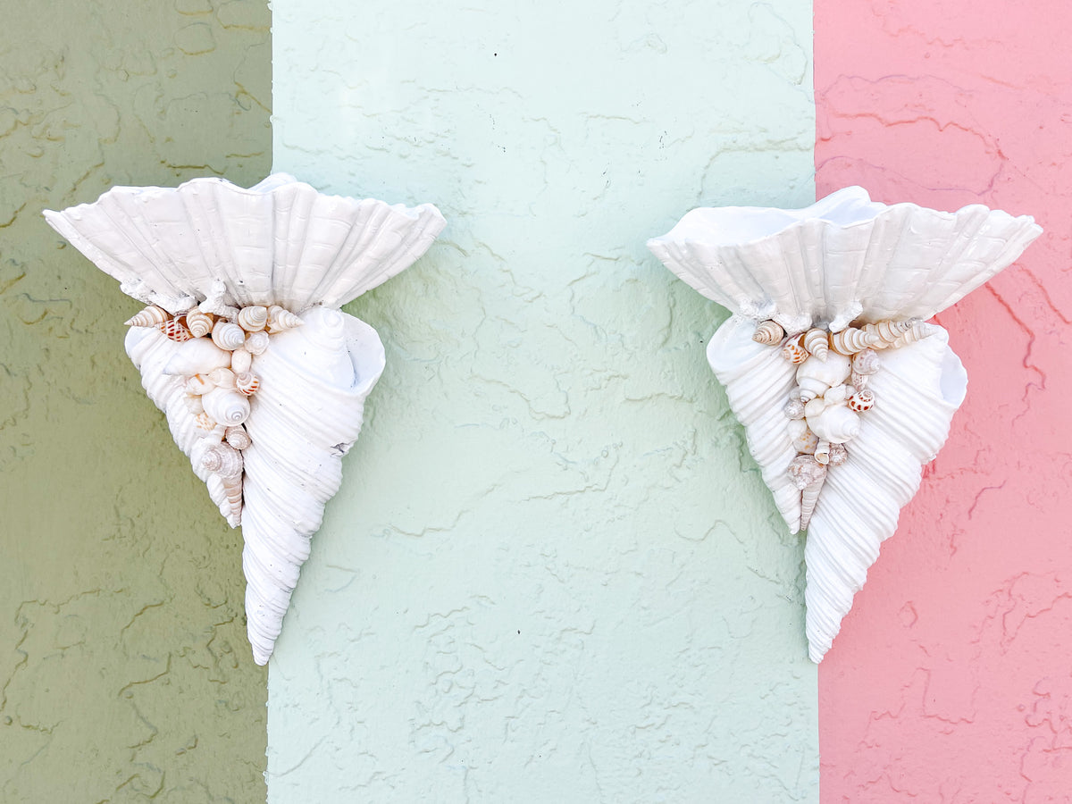 Pair of Shellgance Wall Sconces
