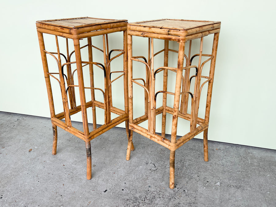 Pair of Tortoiseshell Plant Stands