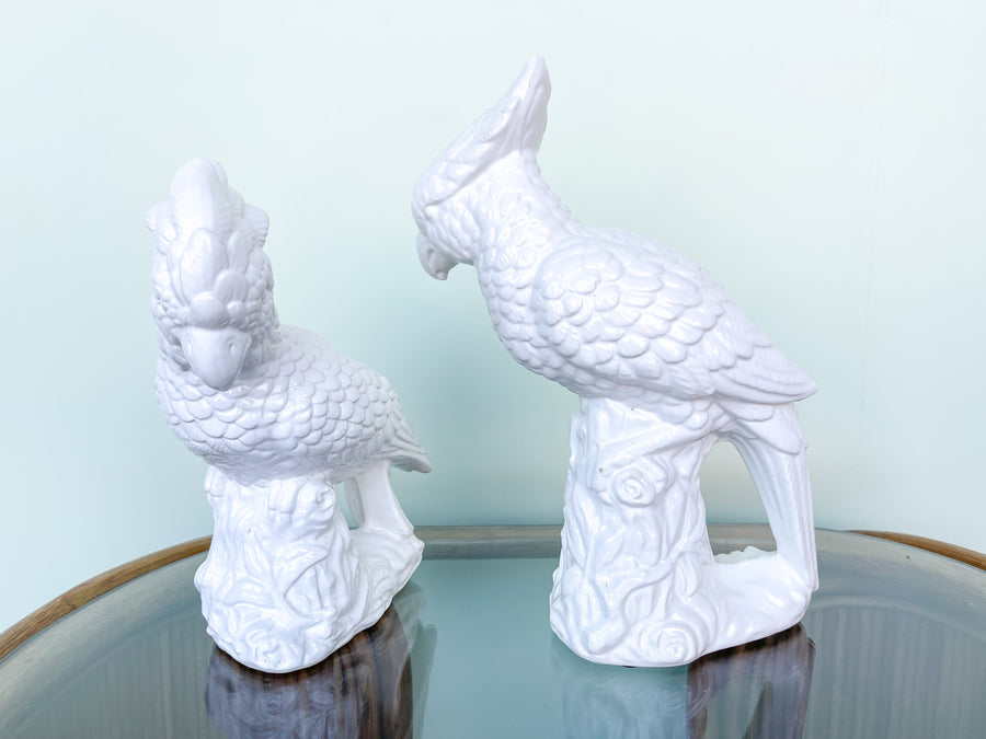 Pair of White Cockatoos