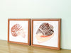 Set of Four Ceramic Hand Painted Shell Wall Art