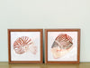 Set of Four Ceramic Hand Painted Shell Wall Art