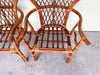 Pair of Rattan Balloon Back Chairs