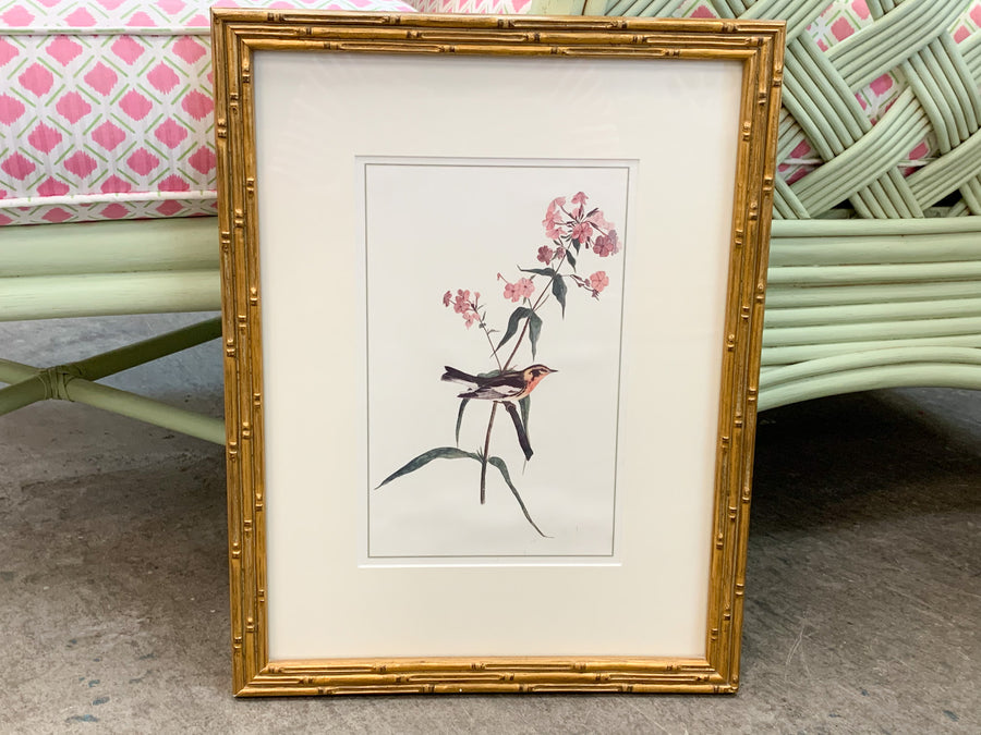 Set of Three Audubon Prints