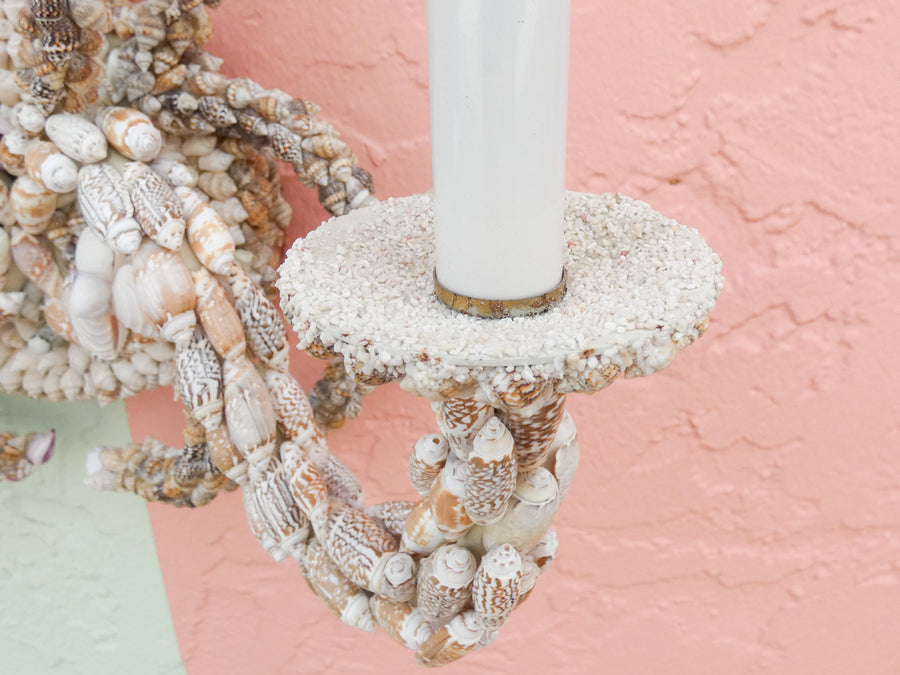 Pair of Shell Encrusted Wall Sconces