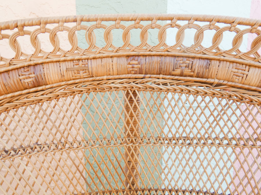 Pair of Fab Natural Peacock Chairs