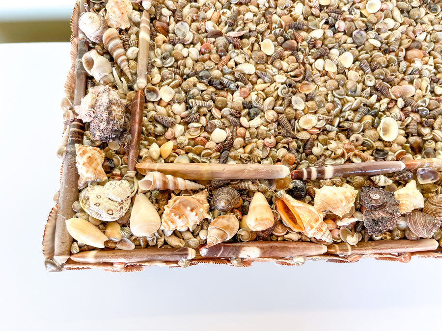 Shellegance Breakfast Tray