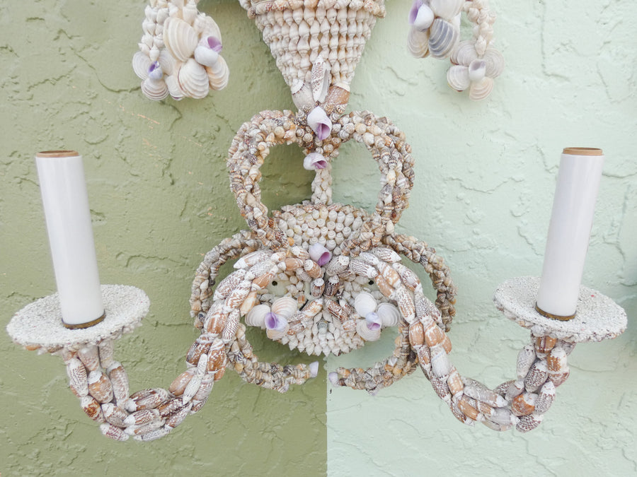 Pair of Shell Encrusted Wall Sconces