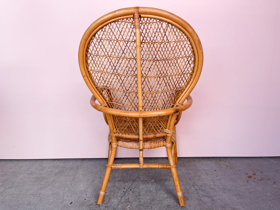 Pair of Rattan Balloon Back Chairs