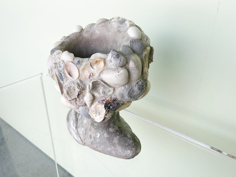 Shellegance Bust Cachepot