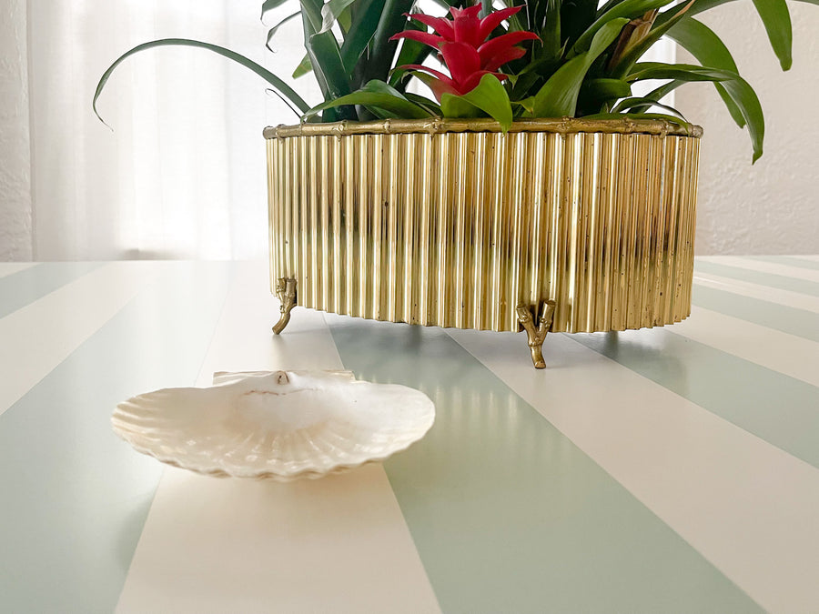Set of Eight Natural Shell Appetizer Plates