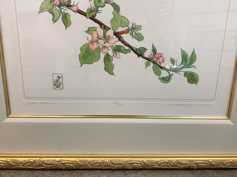 Set of Four Floral Prints by Charolette Ann Meckley