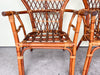 Pair of Rattan Balloon Back Chairs