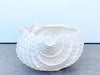 Large Ceramic Nautilus Cachepot