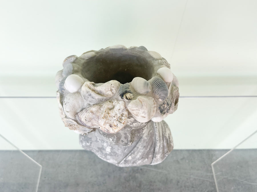 Shellegance Bust Cachepot