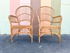 Set of Six Island Style Rattan and Cane Arm Chairs