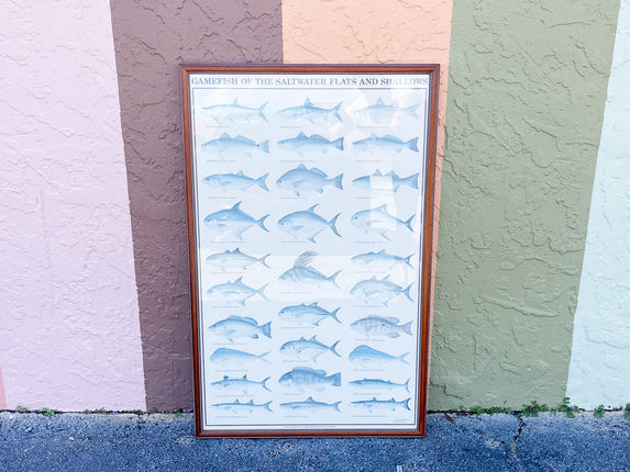 Old Florida Game Fish Framed Poster