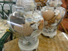 Amazing Sea Shell Ginger Jar Lamps